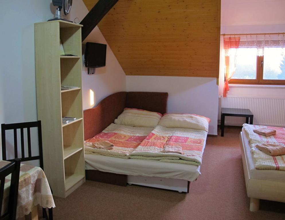Privat Novac Apartment Nove Mesto nad Metuji Room photo