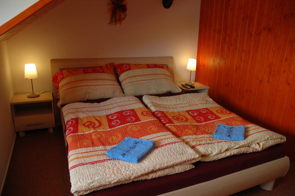 Privat Novac Apartment Nove Mesto nad Metuji Room photo